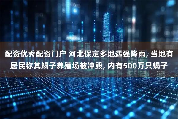 配资优秀配资门户 河北保定多地遇强降雨, 当地有居民称其蝎子养殖场被冲毁, 内有500万只蝎子