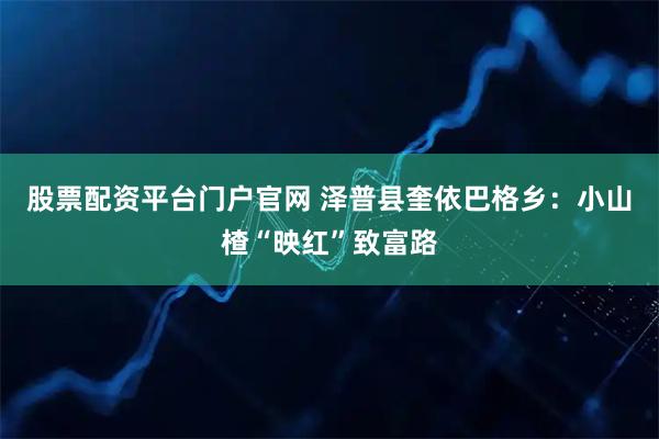 股票配资平台门户官网 泽普县奎依巴格乡：小山楂“映红”致富路